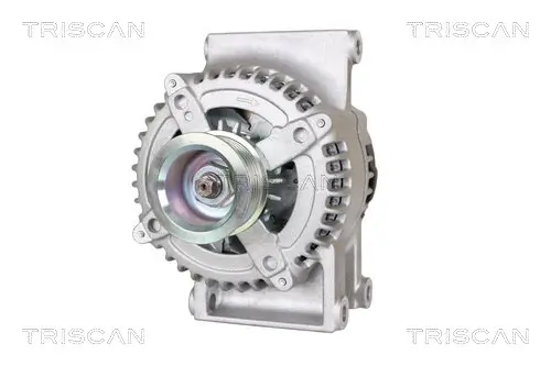 Generator 14 V TRISCAN 8310 24021