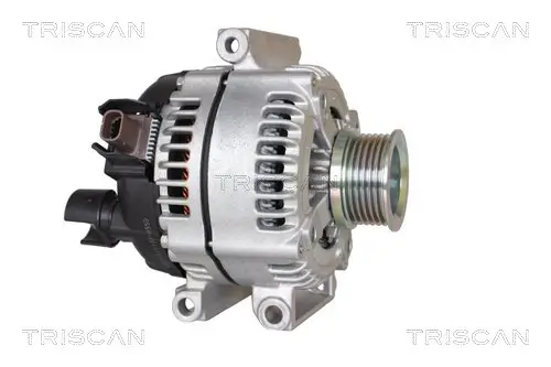 Generator 14 V TRISCAN 8310 24021 Bild Generator 14 V TRISCAN 8310 24021