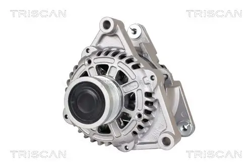 Generator 14 V TRISCAN 8310 24024