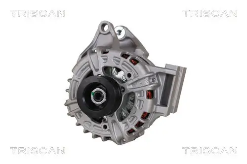 Generator 12 V TRISCAN 8310 24027