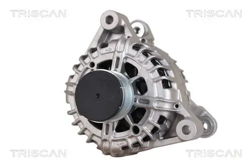 Generator 14 V TRISCAN 8310 24029