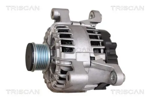 Generator 14 V TRISCAN 8310 24029 Bild Generator 14 V TRISCAN 8310 24029