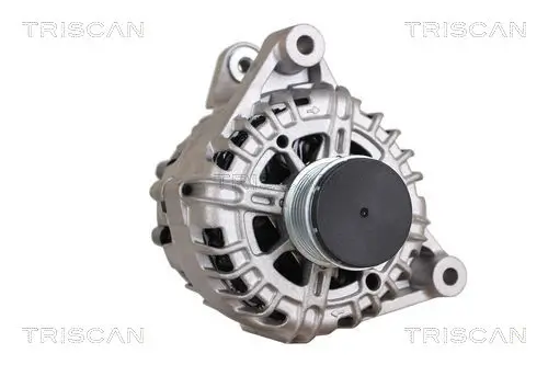 Generator 14 V TRISCAN 8310 24029 Bild Generator 14 V TRISCAN 8310 24029