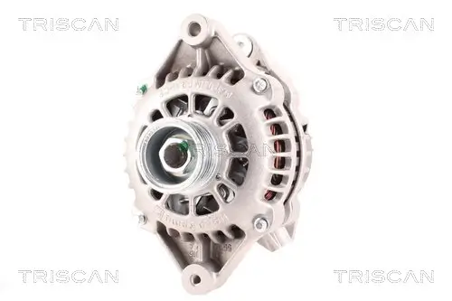 Generator 14 V TRISCAN 8310 24031 Bild Generator 14 V TRISCAN 8310 24031