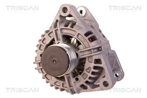Generator 12 V TRISCAN 8310 24033 Bild Generator 12 V TRISCAN 8310 24033