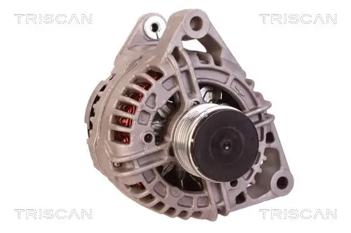 Generator 12 V TRISCAN 8310 24033 Bild Generator 12 V TRISCAN 8310 24033