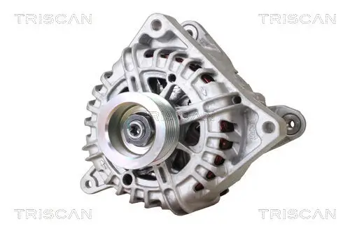 Generator 14 V TRISCAN 8310 24035