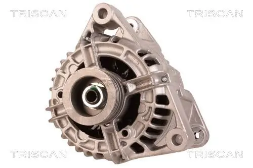 Generator 12 V TRISCAN 8310 24036