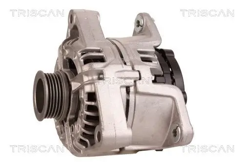 Generator 12 V TRISCAN 8310 24036 Bild Generator 12 V TRISCAN 8310 24036