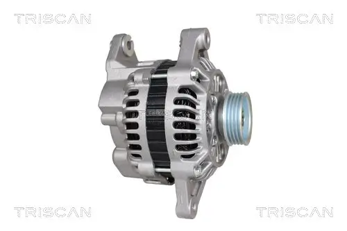Generator 14 V TRISCAN 8310 25001 Bild Generator 14 V TRISCAN 8310 25001