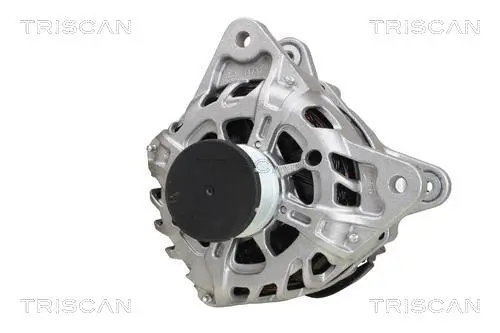 Generator 14 V TRISCAN 8310 25002