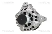Generator 14 V TRISCAN 8310 25002