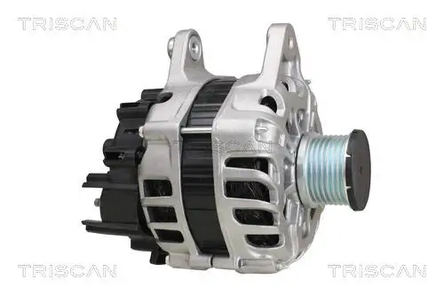 Generator 14 V TRISCAN 8310 25002 Bild Generator 14 V TRISCAN 8310 25002