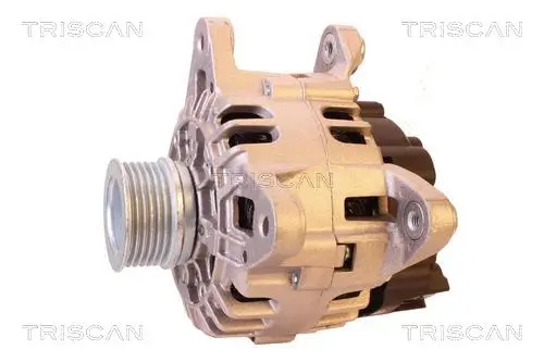 Generator 12 V TRISCAN 8310 25003 Bild Generator 12 V TRISCAN 8310 25003