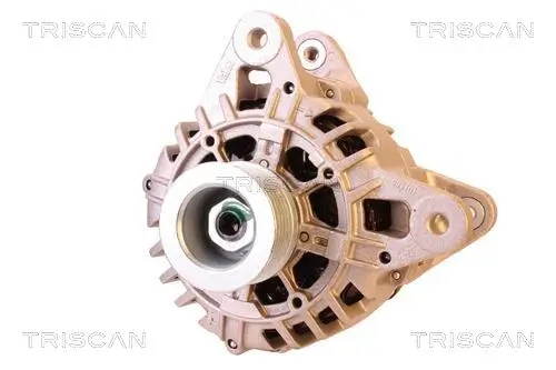 Generator 12 V TRISCAN 8310 25003 Bild Generator 12 V TRISCAN 8310 25003
