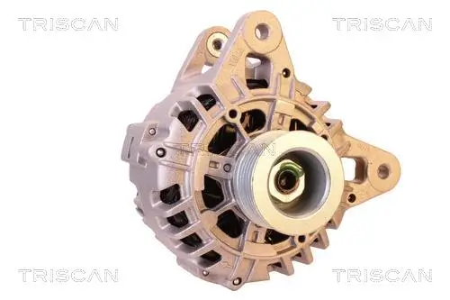 Generator 12 V TRISCAN 8310 25003 Bild Generator 12 V TRISCAN 8310 25003