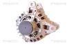 Generator 14 V TRISCAN 8310 25004