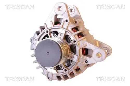 Generator 14 V TRISCAN 8310 25004 Bild Generator 14 V TRISCAN 8310 25004