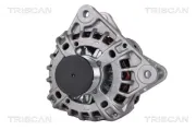 Generator 14 V TRISCAN 8310 25005