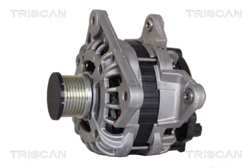 Generator 14 V TRISCAN 8310 25005 Bild Generator 14 V TRISCAN 8310 25005