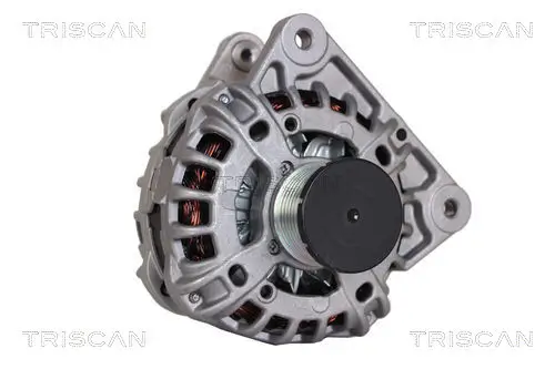 Generator 14 V TRISCAN 8310 25005 Bild Generator 14 V TRISCAN 8310 25005