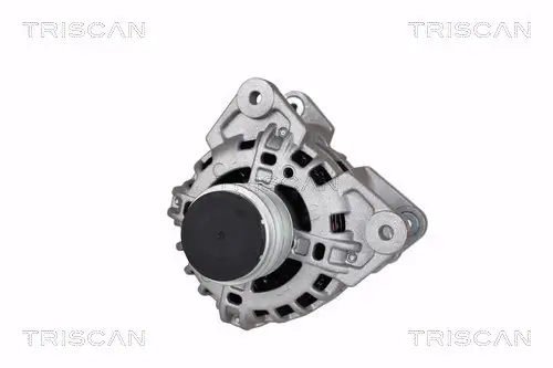 Generator 14 V TRISCAN 8310 25006