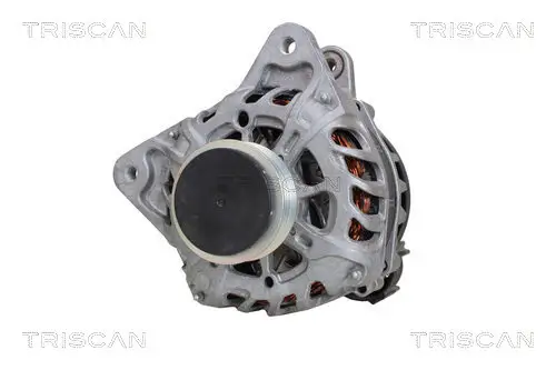 Generator 14 V TRISCAN 8310 25007