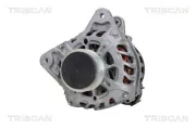 Generator 14 V TRISCAN 8310 25007