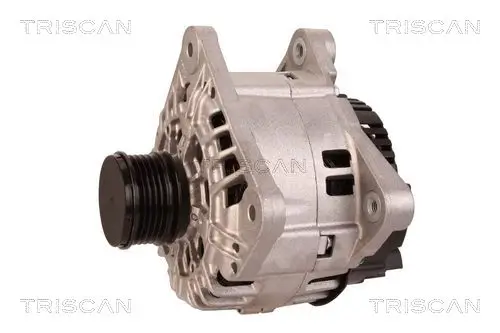 Generator 12 V TRISCAN 8310 25008 Bild Generator 12 V TRISCAN 8310 25008