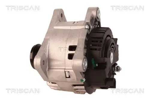 Generator 12 V TRISCAN 8310 25008 Bild Generator 12 V TRISCAN 8310 25008