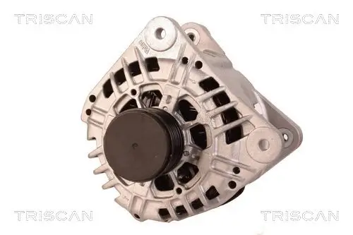 Generator 12 V TRISCAN 8310 25008 Bild Generator 12 V TRISCAN 8310 25008