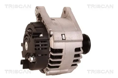 Generator 12 V TRISCAN 8310 25008 Bild Generator 12 V TRISCAN 8310 25008
