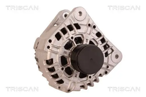 Generator 12 V TRISCAN 8310 25008 Bild Generator 12 V TRISCAN 8310 25008