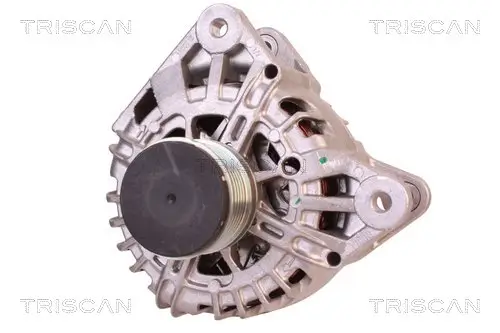Generator 14 V TRISCAN 8310 25010