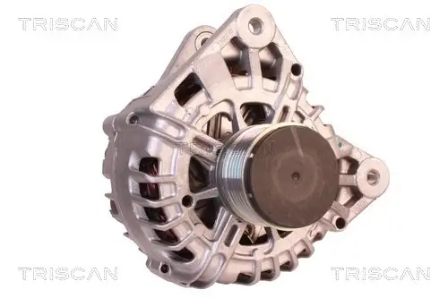 Generator 14 V TRISCAN 8310 25010 Bild Generator 14 V TRISCAN 8310 25010