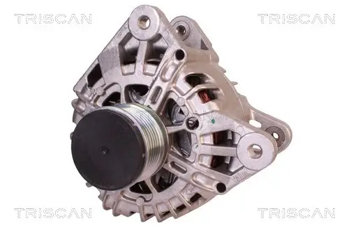 Generator 14 V TRISCAN 8310 25011 Bild Generator 14 V TRISCAN 8310 25011