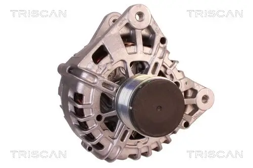 Generator 14 V TRISCAN 8310 25011 Bild Generator 14 V TRISCAN 8310 25011