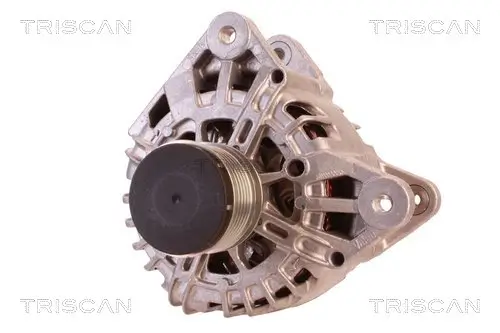 Generator 14 V TRISCAN 8310 25012