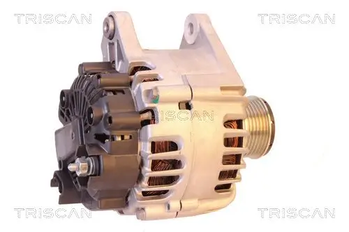 Generator 14 V TRISCAN 8310 25013 Bild Generator 14 V TRISCAN 8310 25013