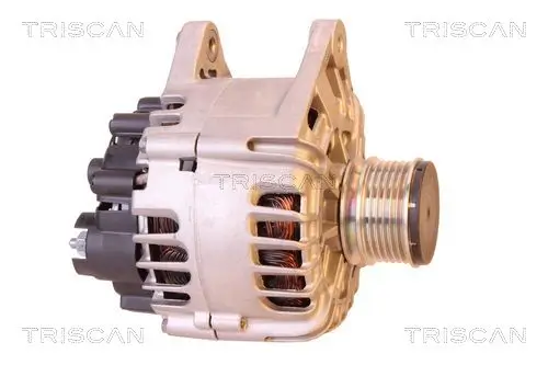 Generator 14 V TRISCAN 8310 25013 Bild Generator 14 V TRISCAN 8310 25013