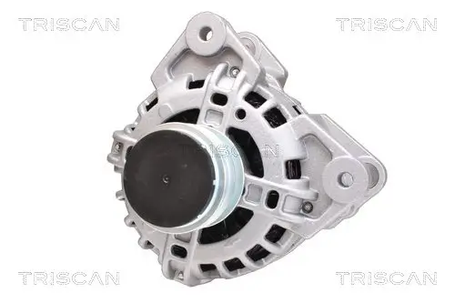 Generator 14 V TRISCAN 8310 25014