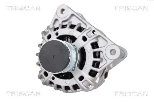Generator 14 V TRISCAN 8310 25017