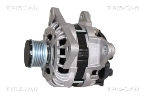 Generator 14 V TRISCAN 8310 25017 Bild Generator 14 V TRISCAN 8310 25017
