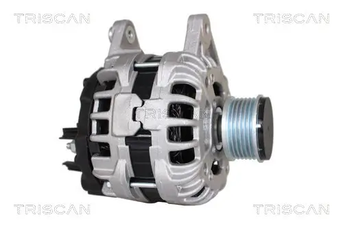 Generator 14 V TRISCAN 8310 25017 Bild Generator 14 V TRISCAN 8310 25017