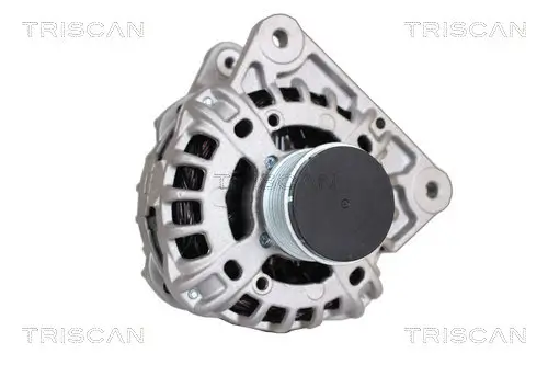Generator 14 V TRISCAN 8310 25017 Bild Generator 14 V TRISCAN 8310 25017