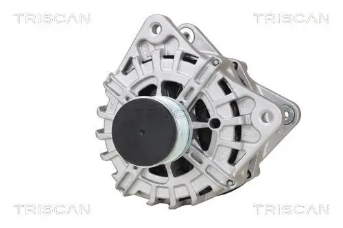 Generator 14 V TRISCAN 8310 25019