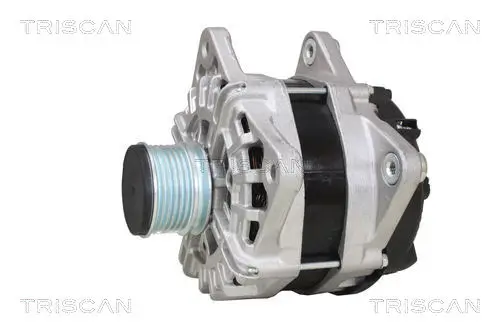 Generator 14 V TRISCAN 8310 25019 Bild Generator 14 V TRISCAN 8310 25019