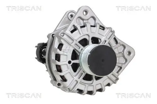Generator 14 V TRISCAN 8310 25019 Bild Generator 14 V TRISCAN 8310 25019