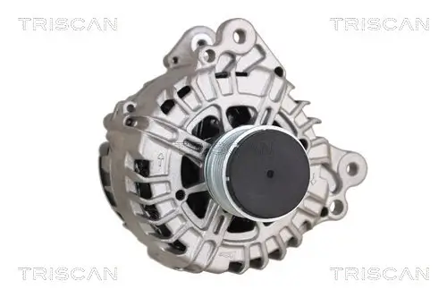 Generator 14 V TRISCAN 8310 25020 Bild Generator 14 V TRISCAN 8310 25020