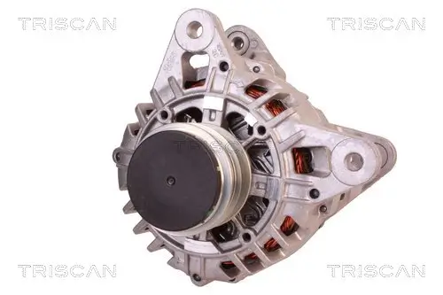 Generator 14 V TRISCAN 8310 25022